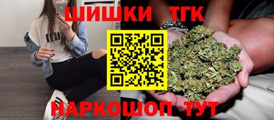 амф Кингисепп