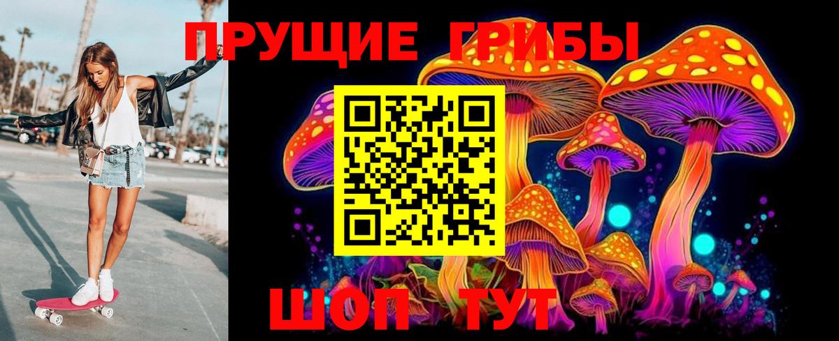 Галлюциногенные грибы GOLDEN TEACHER  Вход с VPN  Кудымкар 