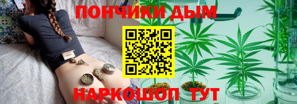 МАРИХУАНА тримм  Каннабис марихуана  Вход с VPN  Кудымкар 